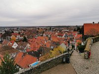 Zwingenberg 0048