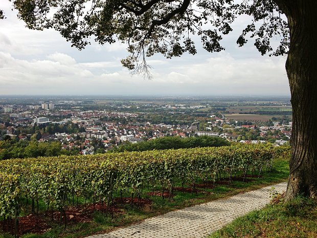 Landschaften