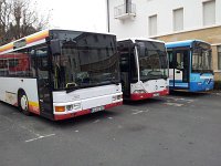 Neustadt Weinstrasse 0014