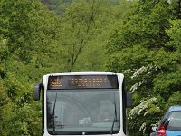 Neustadt Weinstrasse 0016