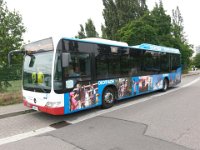 Neustadt Weinstrasse 0030 06/2015, Neustadt/Weinstraße, Foto. Rolf Schädler