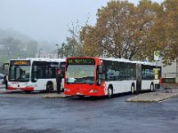 Neustadt Weinstrasse 0039 10/2021, Neustadt 