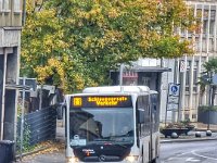 Neustadt Weinstrasse 0045 10/2021, Neustadt 
