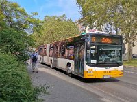 Wiesbaden 0079 08/2019