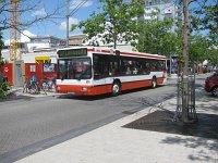 Wolfsburg 0039