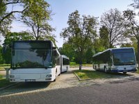 CityBus 0006