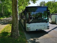CityBus 0009