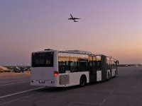 CityBus 0018