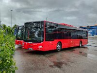 DB Regio Bus allgemein 0007