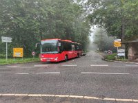 Rhein-Neckar-Bus _005 06/2021
