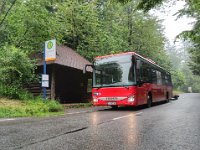 Rhein-Neckar-Bus _017 06/2021