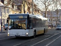 Müller Biblis 0003 Foto: J. Niemeyer