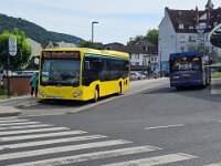 Stroh Bus 0002