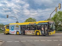 Stroh Bus 0019
