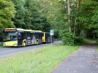 Stroh Bus 0029