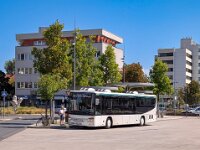 Stroh Bus 0043