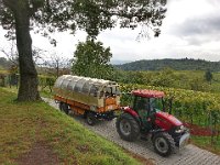 Planwagen 0004