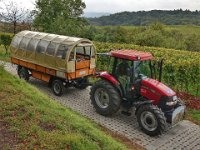 Planwagen 0005