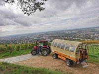Planwagen 0006