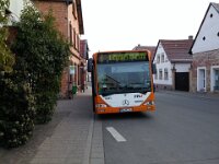 rnv Bus 0016 01/2016, Ellerstadt 