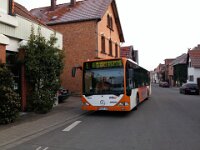 rnv Bus 0017 01/2016, Ellerstadt 