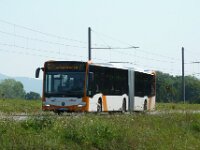 rnv Bus 1335 08/2015, Seckenheim, Foto: J. Niemeyer