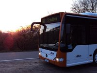 Odenwald 0009 Foto: B. Claus