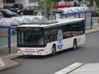 Winzenhöler F-WZ27 Michelstadt 2017-08-18 (2) Foto: J. Niemeyer