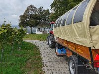 Planwagen Zwingenberg