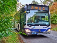 SWEG 0019 11/2021