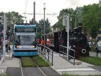 Feuriger Elias in MA 2016 0016 06/2016, Feudenheim, Foto: J. Niemeyer