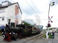 Feuriger Elias in MA 2016 0022 06/2016, Feudenheim