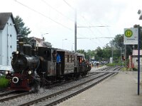 Feuriger Elias in MA 2016 0023 06/2016, Feudenheim
