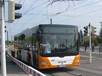 Maimarkt 2010 0003