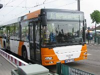 Maimarkt 2010 0008