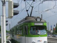 Maimarkt 2010 0015