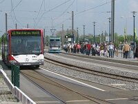 Maimarkt 2010 0018