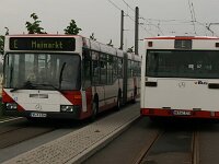 Maimarkt 2010 0139