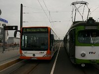 Maimarkt 2010 0148