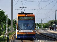 Maimarkt 2011 0006