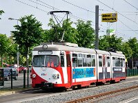 Maimarkt 2011 0018