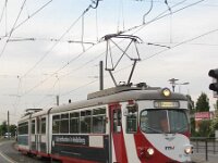 Maimarkt 2011 0266