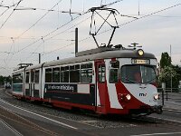 Maimarkt 2011 0270