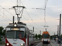 Maimarkt 2011 0273