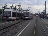 Maimarkt 2012 0343