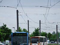 Maimarkt 2012 0347