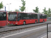 Maimarkt 2013 0002