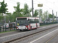 Maimarkt 2013 0003
