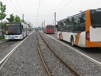 Maimarkt 2013 0012