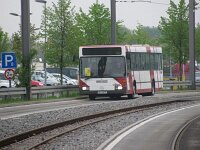 Maimarkt 2013 0013
